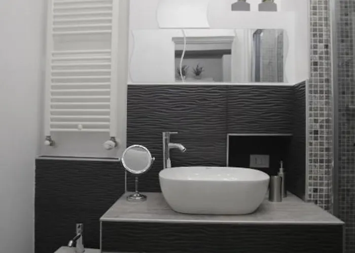 Live * 부쿠레슈티